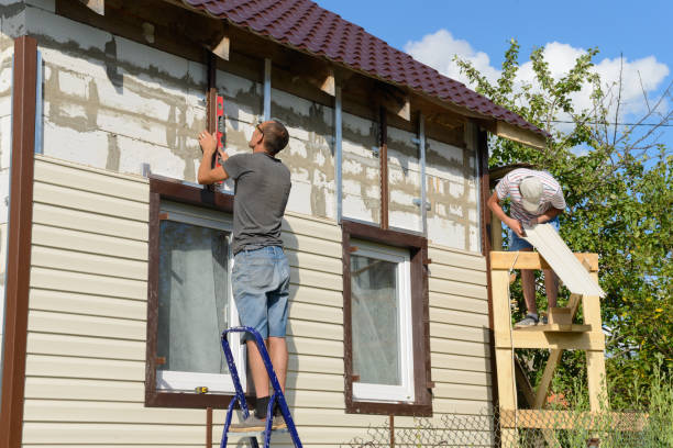 Best Custom Trim and Detailing for Siding  in Meadow Vale, KY