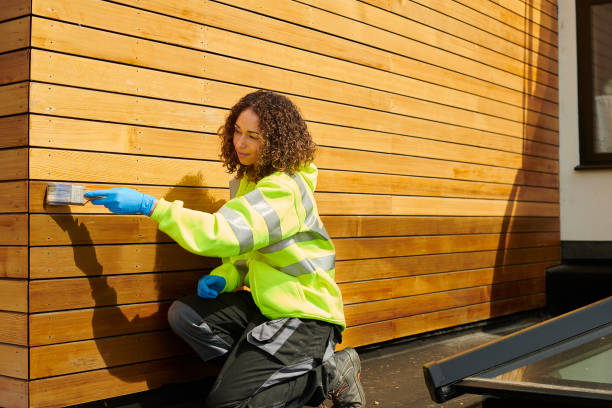 Best Siding Removal and Disposal  in Meadow Vale, KY